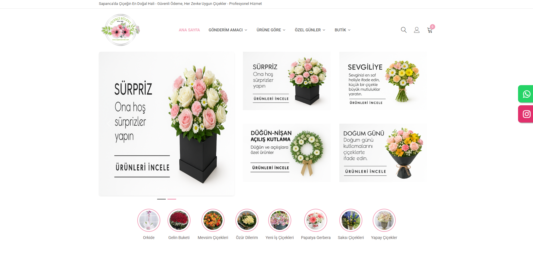 Proje www.sapancacicek.com